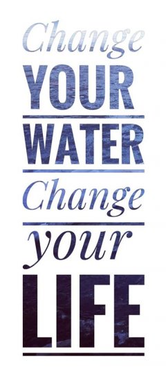 water betina huber